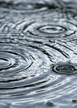 雨粒が広げる水面の波紋